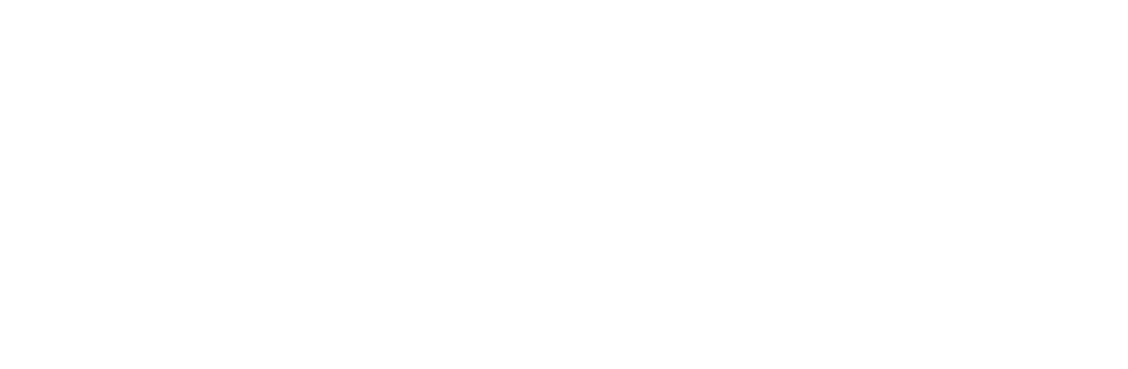 Kinder- und Jugendhospiz Leuchtturm Logo weiß